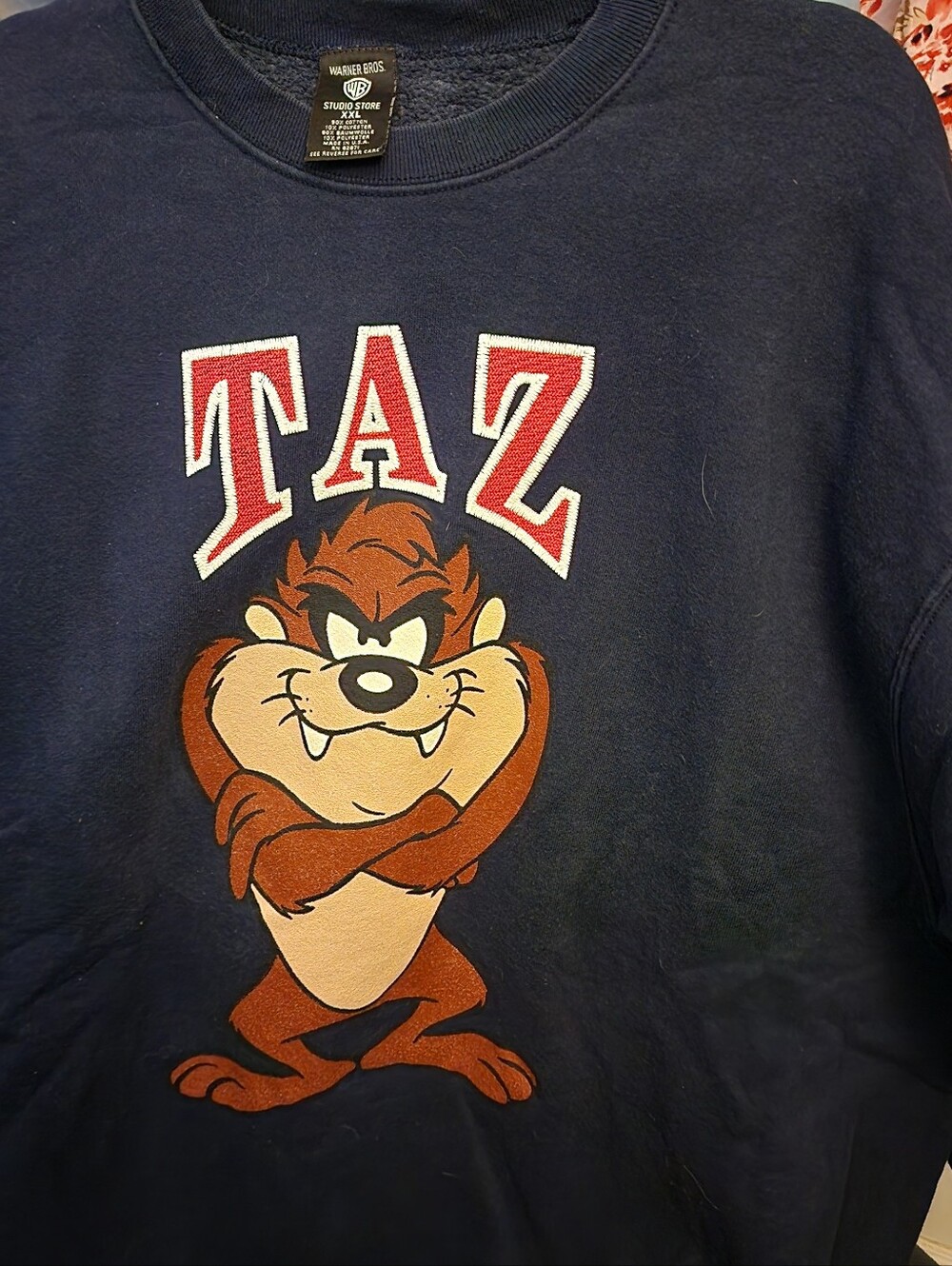Vintage 1996 Warner Bros. Navy Taz Graphic Sweatshirt with Red Lettering